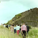 Zahrádka *